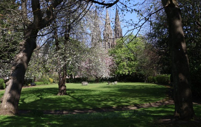 Ross Robertson